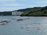 MalDive（モルダイブ）に投稿された画像（2026/8/14）