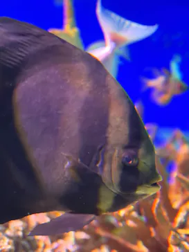 新江ノ島水族館に投稿された画像（2026/8/14）