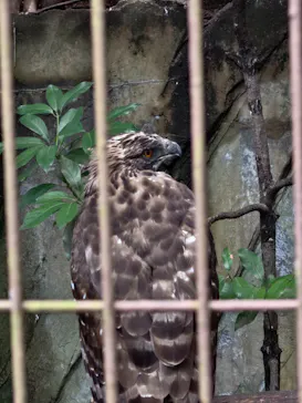 恩賜上野動物園に投稿された画像（2026/8/14）
