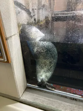 仙台うみの杜水族館に投稿された画像（2026/8/14）