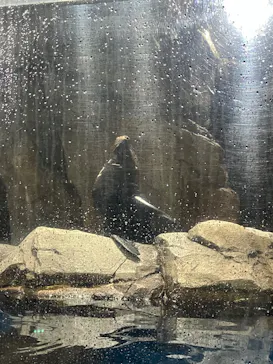 仙台うみの杜水族館に投稿された画像（2026/8/14）