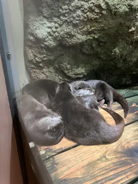仙台うみの杜水族館に投稿された画像（2026/8/14）