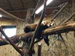 伊豆シャボテン動物公園に投稿された画像（2026/8/14）