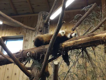 伊豆シャボテン動物公園に投稿された画像（2026/8/14）