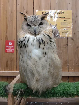 伊豆シャボテン動物公園に投稿された画像（2026/8/14）