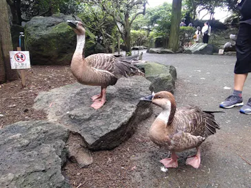 伊豆シャボテン動物公園に投稿された画像（2026/8/14）