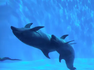 名古屋港水族館に投稿された画像（2026/8/14）