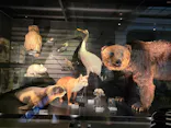 国立科学博物館に投稿された画像（2026/8/14）