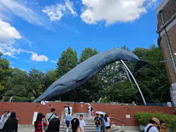 国立科学博物館に投稿された画像（2026/8/14）