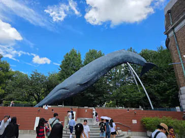 国立科学博物館に投稿された画像（2026/8/14）