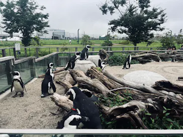 仙台うみの杜水族館に投稿された画像（2026/8/14）