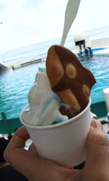 鴨川シーワールドに投稿された画像（2026/8/14）