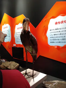 特別展「いきもの超ワールド展　国立科学博物館×ダーウィンが来た！」（国立科学博物館）に投稿された画像（2026/8/14）