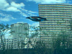 サンシャイン水族館に投稿された画像（2026/8/14）