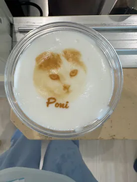 Cat Café MOFF グランベリーパーク店に投稿された画像（2026/8/14）