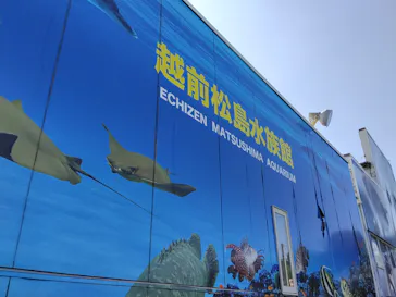越前松島水族館に投稿された画像（2026/8/14）