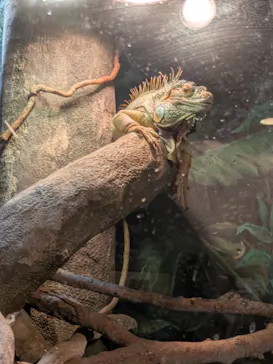 天王寺動物園に投稿された画像（2026/8/14）