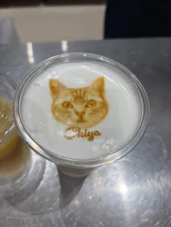 Cat Café MOFF コクーンシティさいたま新都心店に投稿された画像（2026/8/14）