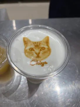Cat Café MOFF コクーンシティさいたま新都心店に投稿された画像（2026/8/14）
