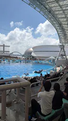 名古屋港水族館に投稿された画像（2026/8/14）