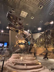 国立科学博物館に投稿された画像（2026/8/14）