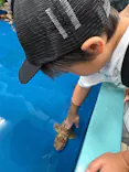 竹島水族館に投稿された画像（2026/8/14）