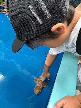 竹島水族館に投稿された画像（2026/8/14）