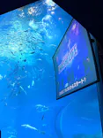 アクアワールド茨城県大洗水族館に投稿された画像（2026/8/14）