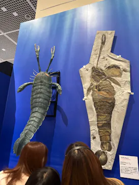 特別展　大絶滅展に投稿された画像（2026/8/14）