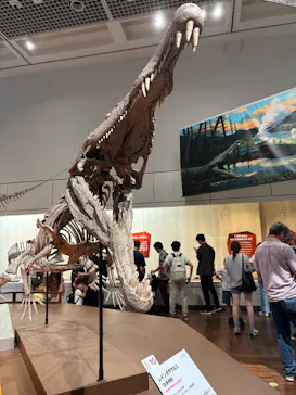 特別展　大絶滅展に投稿された画像（2026/8/14）