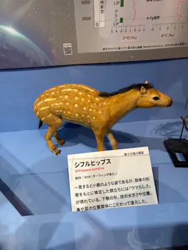 特別展　大絶滅展に投稿された画像（2026/8/14）
