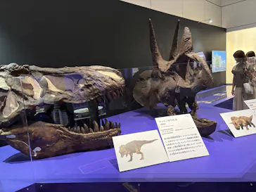 特別展　大絶滅展に投稿された画像（2026/8/14）