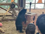 のぼりべつクマ牧場に投稿された画像（2026/8/14）