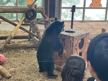 のぼりべつクマ牧場に投稿された画像（2026/8/14）