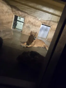 日立市かみね動物園に投稿された画像（2026/8/14）
