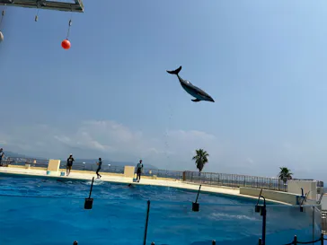 マリンワールド海の中道に投稿された画像（2026/8/14）