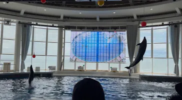 アクアワールド茨城県大洗水族館に投稿された画像（2026/8/14）