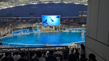 名古屋港水族館に投稿された画像（2026/8/14）
