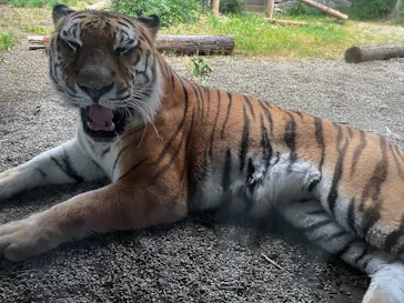 秋田市大森山動物園に投稿された画像（2026/8/14）