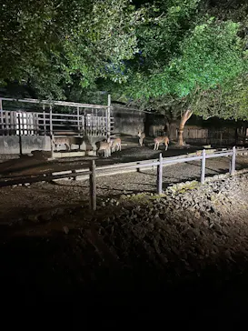 名古屋市東山動植物園に投稿された画像（2026/8/14）