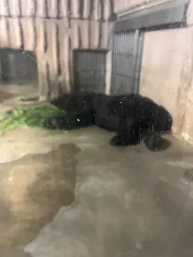 名古屋市東山動植物園に投稿された画像（2026/8/14）