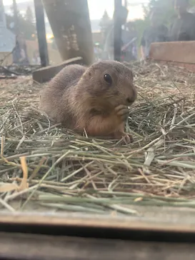 名古屋市東山動植物園に投稿された画像（2026/8/14）