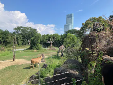 天王寺動物園に投稿された画像（2026/8/14）