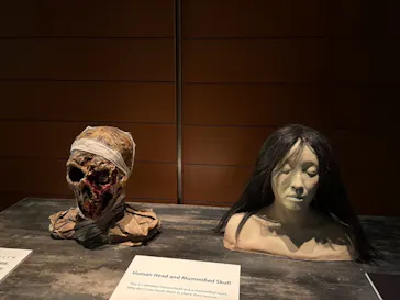 ホラーにふれる展 －映画美術の世界－に投稿された画像（2026/8/14）