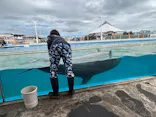 横浜・八景島シーパラダイスに投稿された画像（2026/8/14）