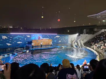 仙台うみの杜水族館に投稿された画像（2026/8/14）