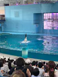 横浜・八景島シーパラダイスに投稿された画像（2026/8/14）