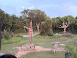天王寺動物園に投稿された画像（2026/8/14）