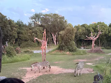天王寺動物園に投稿された画像（2026/8/14）