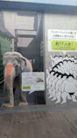 天王寺動物園に投稿された画像（2026/8/14）